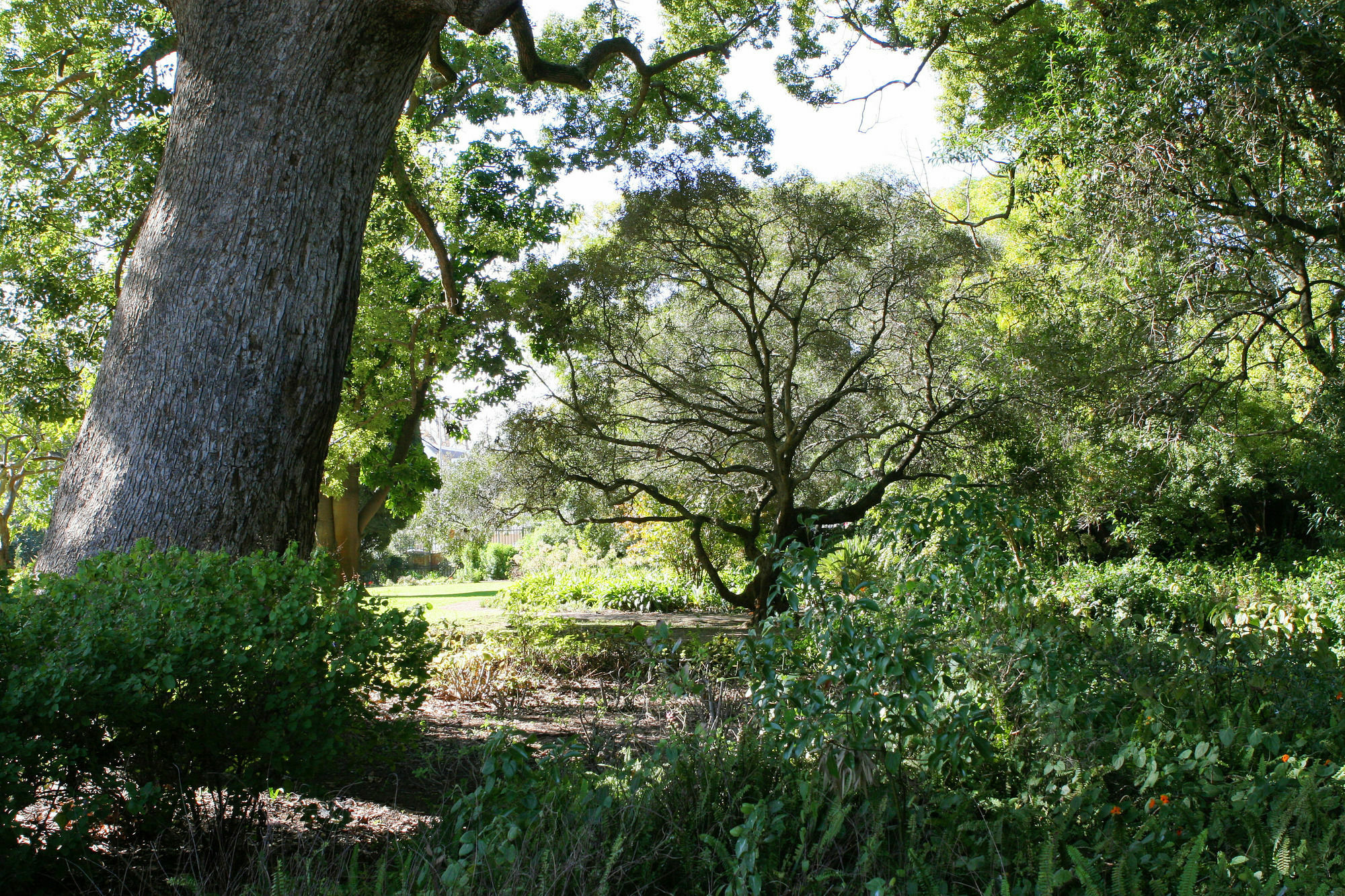 Avemore Wag N Bietjie No 1 Stellenbosch Exteriör bild